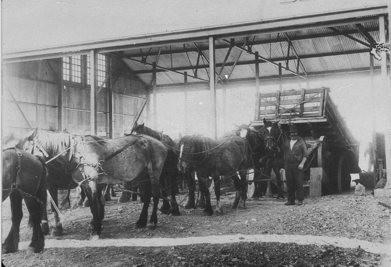 'Device for tipping entire horsedrawn wagon so that bulk wheat flowed from openings at rear of bulk container into silo - Finley, NSW. State Library NSW