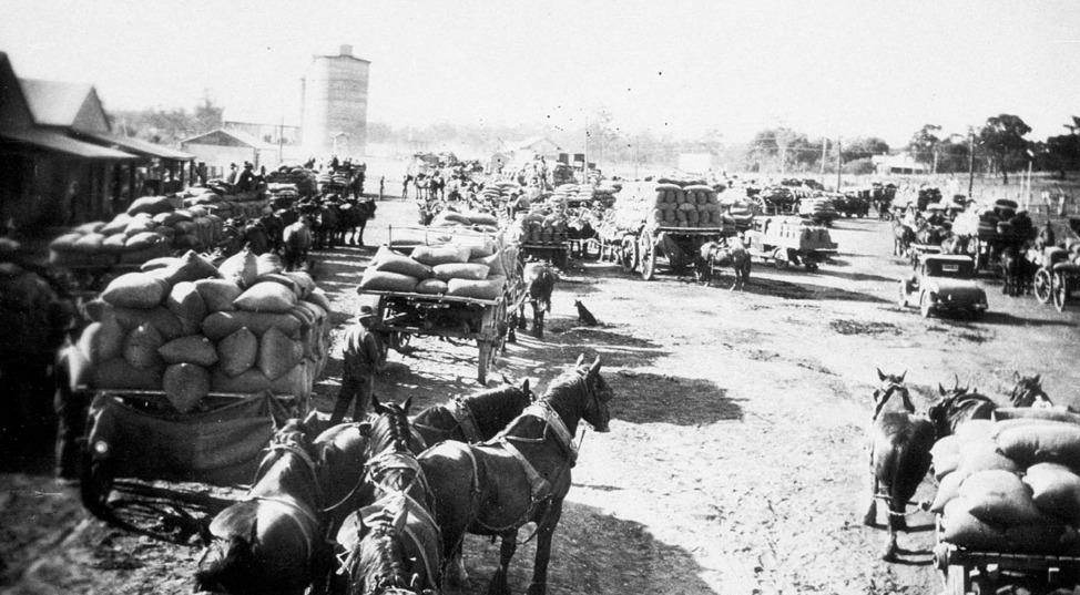 'Waiting to unload wheat wagons at silo - Barmedman, NSW. c. 1930.' State Library NSW