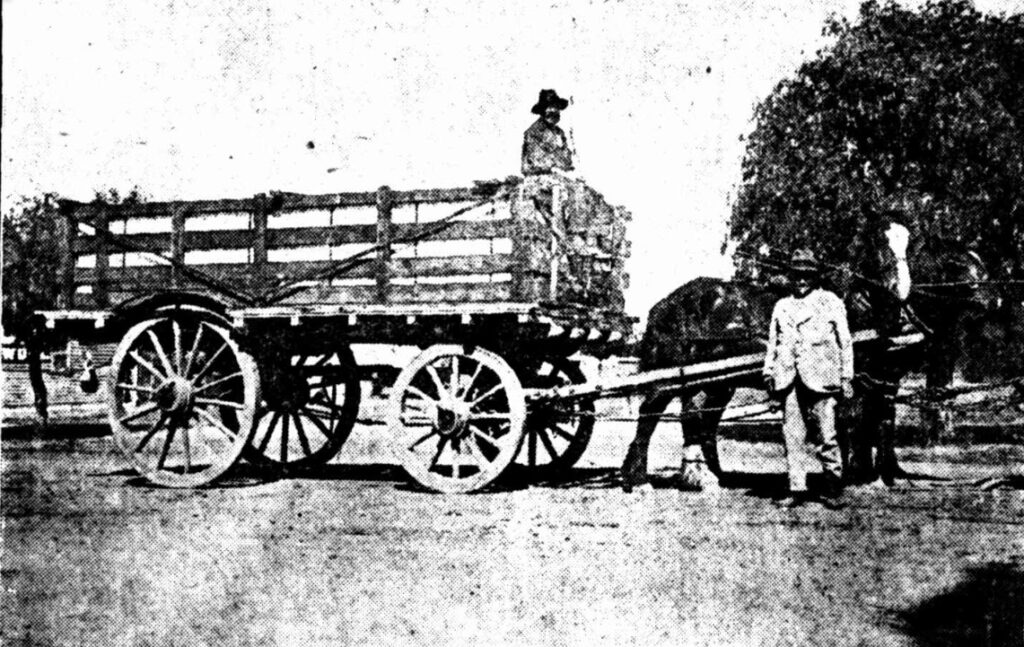 Observer (Adelaide), 10th February 1923. This wagon had corrugated iron put in the sides to hold loose wheat. Or on top to keep it dry. something.