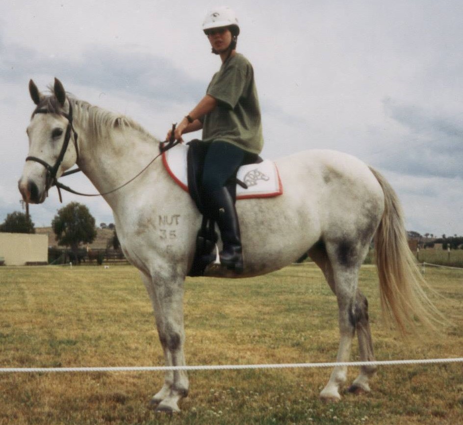 Mt Riddock mare Beersheba showing station brand NUT on shoulder