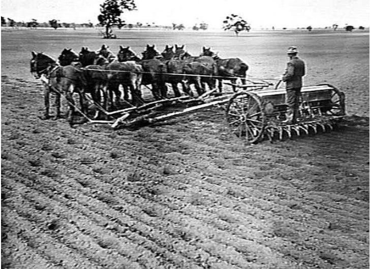 'A 9-horse team abreast pulling an H.V. McKay 16 row 'Suntyne' seed drill in muddy conditions. (note the disc scrapers fitted either side for cleaning the mud from the wheels.) Natimuk, Victoria, June 1938.' Museums Vic