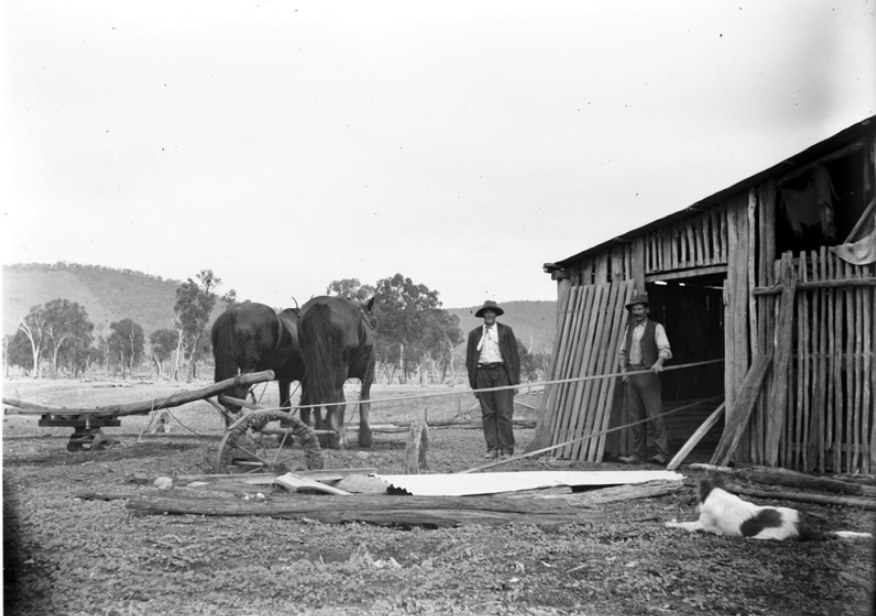 'Digital image created from the Haeusler Glass negative collection. An image of two men operating a chaff cutter which is drawn by horses. The men are believed to be Fred and Harry Klinge, working at their shed on the Klinge property, "The Laurels". The Haeusler family migrated from Prussia (Germany) to South Australia in the 1840s and 1850s, before purchasing 100 acres of Crown Land made available under the Victorian Lands Act 1862 (also known as ‘Duffy’s Land Act’) in 1866 in what is now Wodonga West. The Haeusler family were one of several German families to migrate from South Australia to Wodonga in the 1860s.' Victoria Collections This digital image was produced from one of the glass negatives that form part of the collection, probably taken by Louis Haeusler (b.1887) with the photographic equipment in the Wodonga Historical Society Haeusler Collection.' Victorian Collections