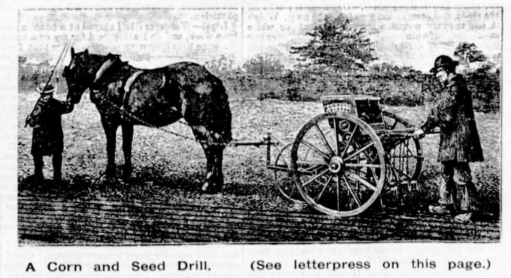 Corn and seed drill.
Illustration from the Australian Town & Country, 1st September 1888
