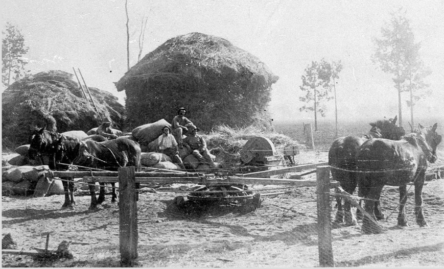 'Cutting chaff with horse works at Meacham's. Trungley Road - Temora, NSW, c. 1912.' State Library NSW