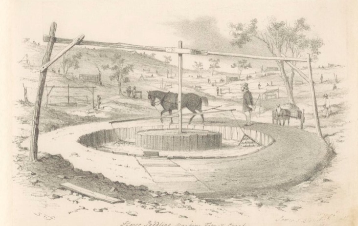 'Horse puddling machine, Forest Creek.' published 1855. By Samuel T. Gill. National Museum of Australia