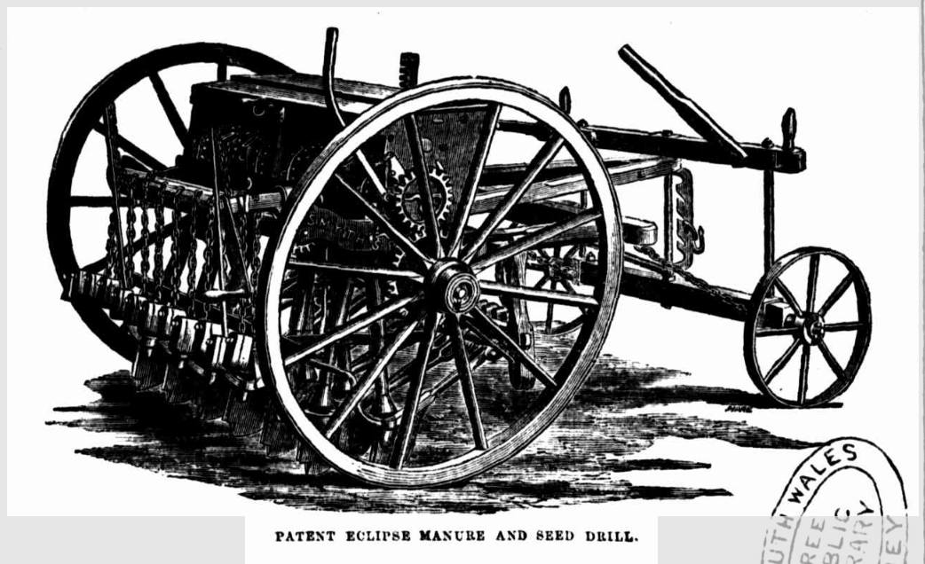 Sowing Seed