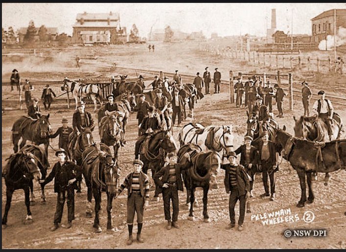 'Wheelers with pit ponies at Pelaw Main Colliery near Kurri Kurri in the Hunter Valley, NSW. Some wheelers have Davey safety lamps.'

NSW DPI account on Flickr

One of the mines at Kurri Kurri.