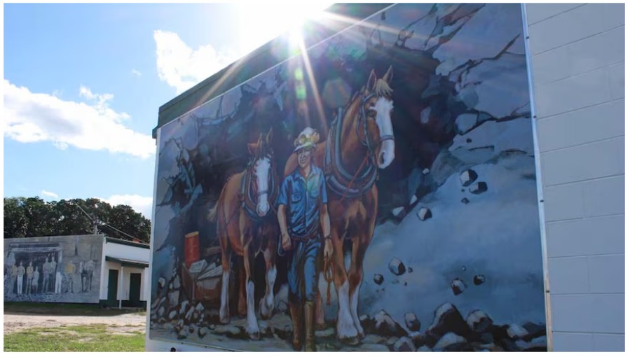 ABC News photo. Mural in Collinsvale of some pit ponies (horses), painted by Frances Rowland Wregg