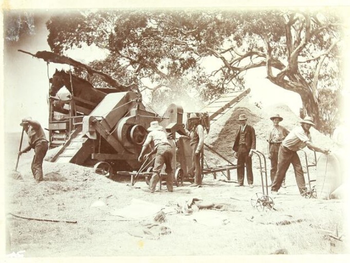 'Processing a wheat crop, using a horse treadmill operating a winnowing machine that is processing a cereal crop, circa 1900. Malle area of South Australia.' Museums Vic