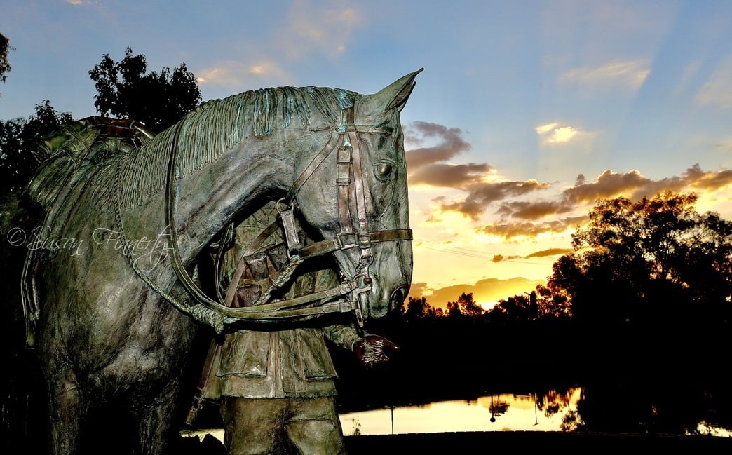 Flying the Flag FB page, Tamworth Waler Statue