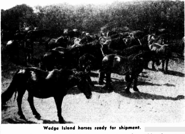 Chronicle (Adelaide) 25th February, 1940
