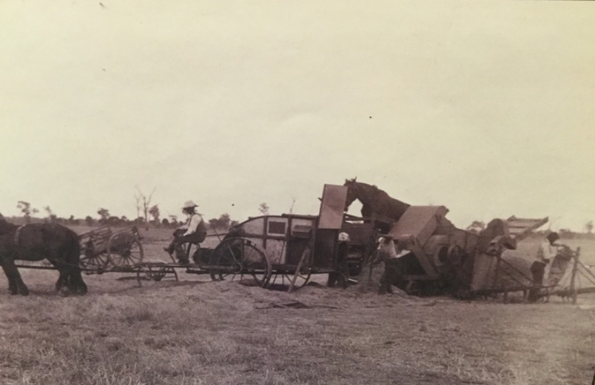 'HORSE -POWERED 4 wheeled timber and steel treadmill used as a power source to drive winnower which removed chaff from grain.' Photo by John Bagshaw & Son. Victorian Collections