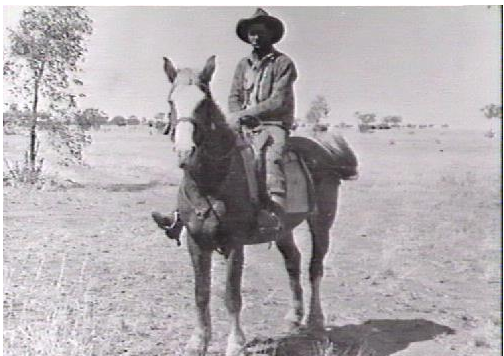 'Leo Murphy, drover, Mr Denison Station. NT. 1951.'

Territory Stories