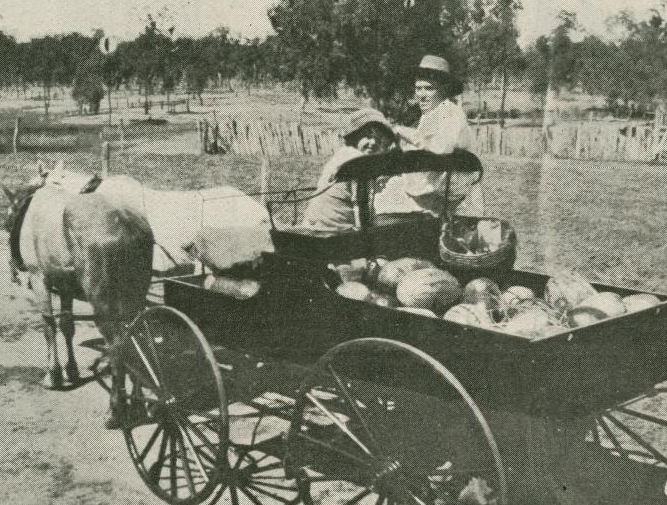 The Queenslander, 16 March, 1918. Solider Settler block Pentland, near Townsville.