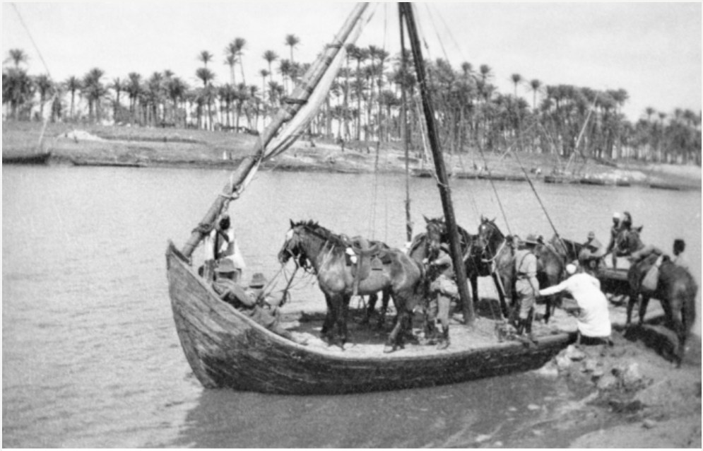 Helouan, Egypt 1914-1915... Taking horses across the Nile at Helouan, the First Light Horse Regiment AWM