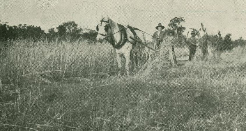 The Queenslander, 16 March, 1918. Solider Settler block Pentland, near Townsville.