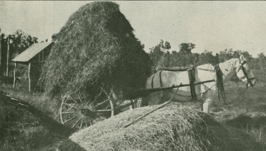 The Queenslander, 16 March, 1918. Solider Settler block Pentland, near Townsville.