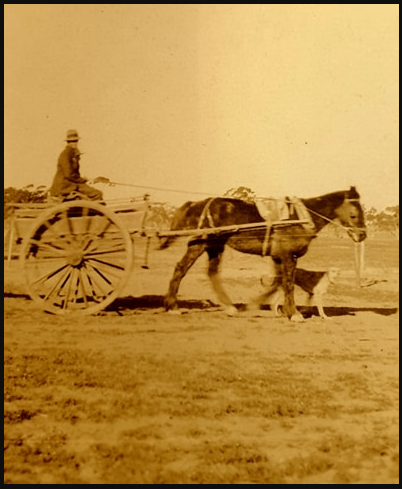 My grandfather was on a soldier settlers block. He went by train from Spencer Street with his horse and dray and all his worldly belongings to settle at Werrimull.'

Katie East family photos.