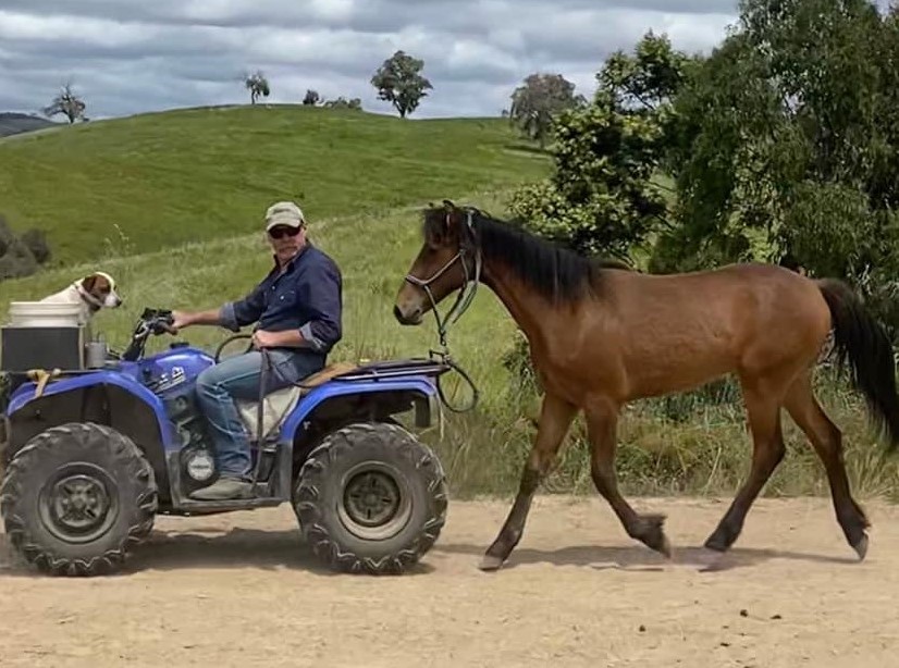 Pinjee and trainer Drew, November 2020