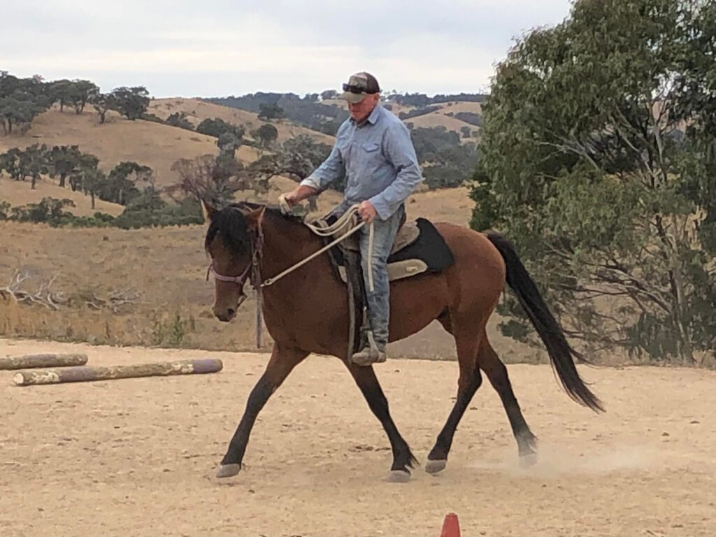 Waler stallion Pinjee and trainer Drew 2023