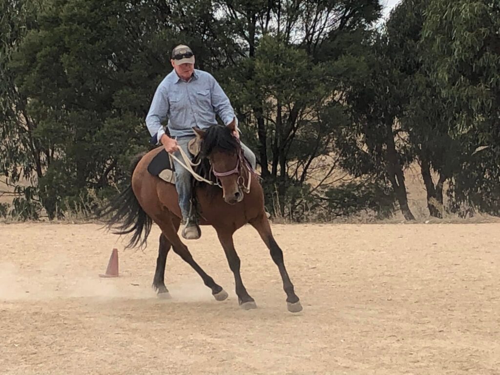 Waler stallion Pinjee and trainer Drew 2023