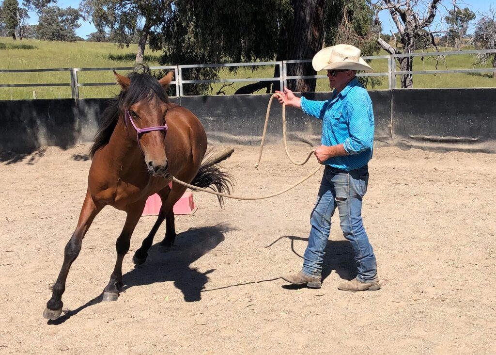 Pinjee and Drew training 2021