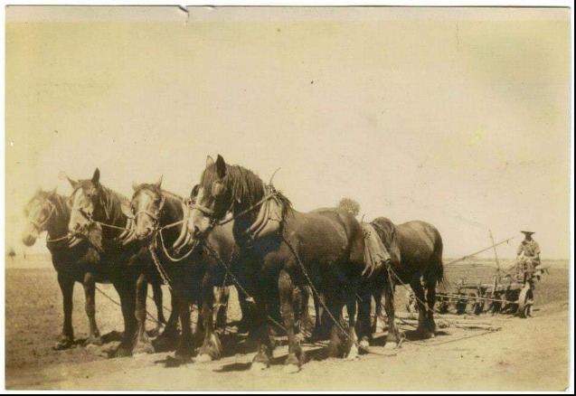 Robert Leslie Busch of Hillston, taken in the 1940's. Leslie had been in the 1st Light Horse in WW1, and after the war took up and farmed a soldier settler block. Simon Andrews' family photo.