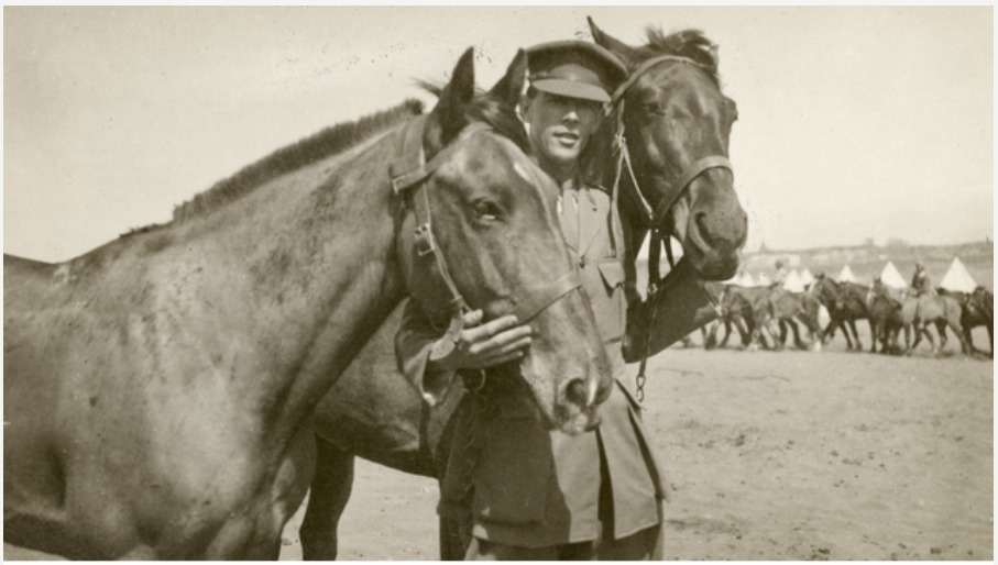 'Lieutenant Colonel H A Maunder, DSO, holding two horses at Beirut. March 1919.'

AWM