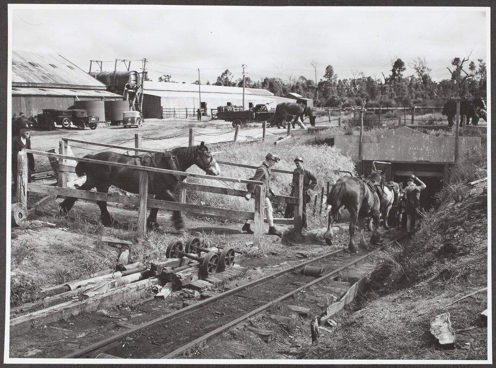 'Miners going below at Collie coalfields, WA. 8th July, 1952.'

Uni Melbourne.