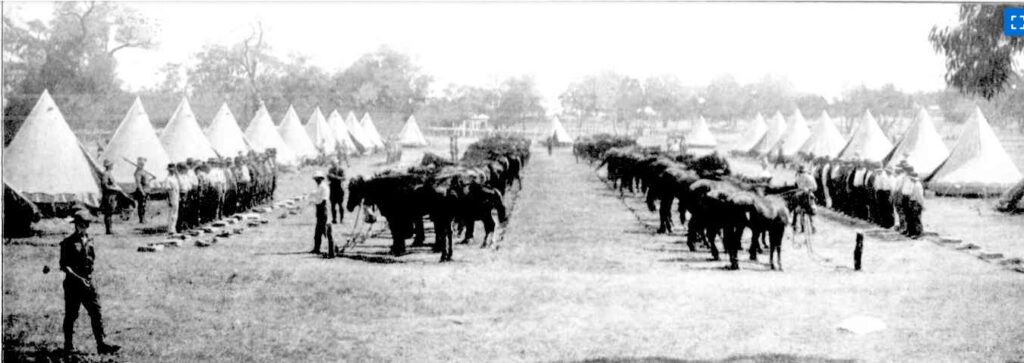 General View of the Light Horse Camp at Guildford.'

Western Mail, 4th December, 1914.