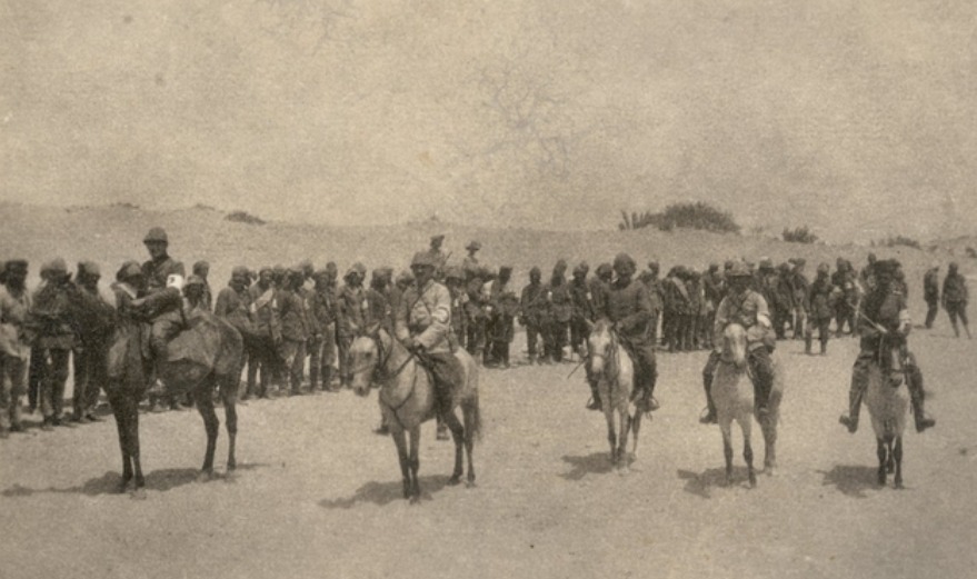 '"Turkish ambulance drawn in line." A Turkish Ambulance unit captured by the Australian Light Horse at Romani, lined up ready to go to Railhead en route for internment in Egypt. Note the white armband bearing the red crescent being worn by the captured unit. Image from the collection of Major David Gifford Croll, 2nd Light Horse Field Ambulance. 1916. Romani, Snai, Egypt.' AWM To show the little Arab type horses used by some of the Turks