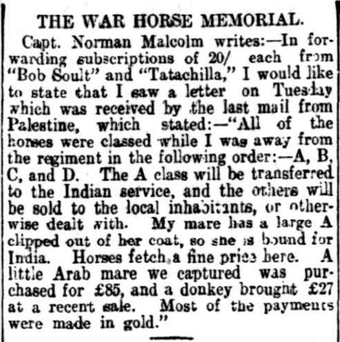 The Register (Adelaide), 2nd April, 1919. Was this the Grey Arab Mare?