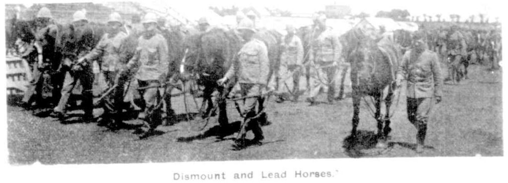 Melbourne Punch, 11th January 1900. Tom had 10 days to train a number of infantry to be mounted soldiers, he did the job magnificently, but in his usual style, with fluent cursing, while saying he was lucky he had such good men