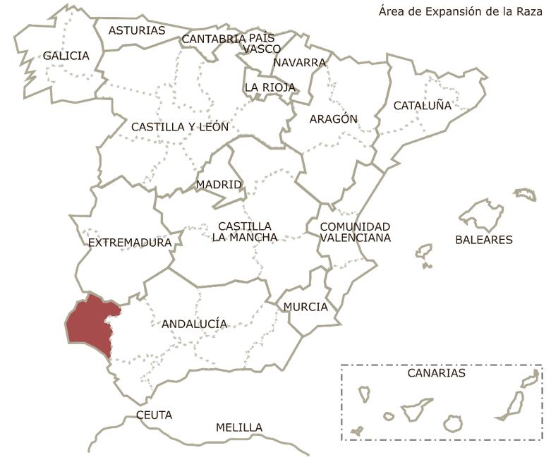 The original and current homelands of the Retuerta horses. Map from rfeags website