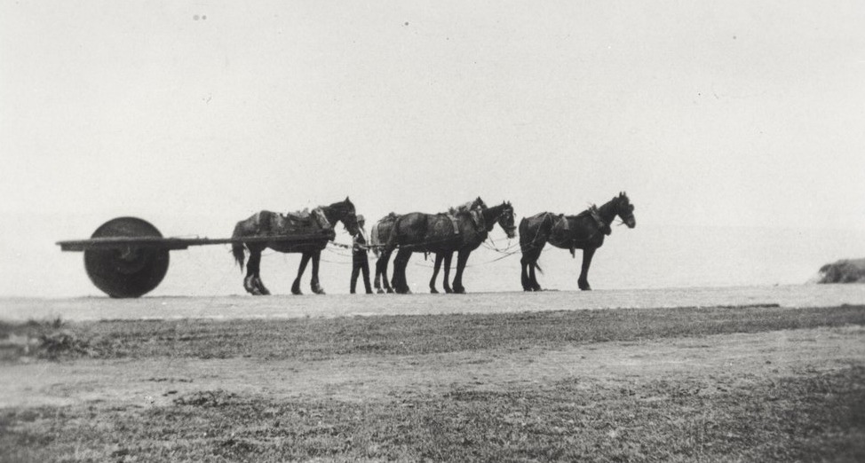 'Arthur Larkin and his team of horses constructing Narrabeen Park Parade. 1928. Larkin's horses were used to build roads on the Northern Beaches. They were stabled at his home in Wetherill Street Narrabeen.' Northern Beaches Council, Library Services