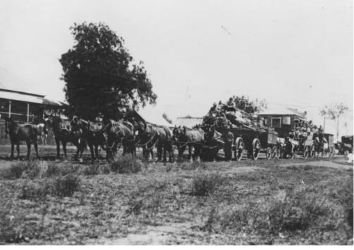 "Circus travelling through Nanango on horsedrawn vehicles, ca. 1914" State Library of Qld.