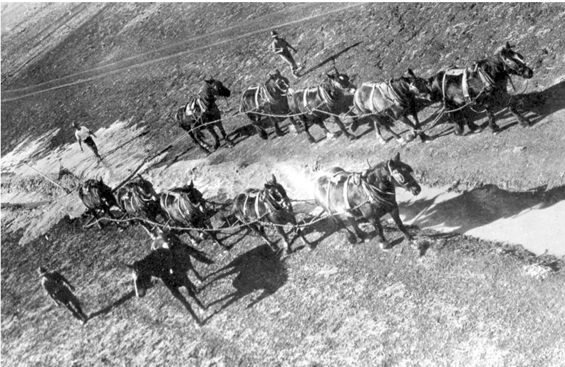 'A black and white image of a team of horses delving a bore drain on Ensay Station, probably in the 1910s. The men in this photograph have not been identified. The photographer, Amos B. Watts ("Wattie"), whose images are usually identified by the initials "ABW" on the bottom right of his photographs, was a jackeroo and photography enthusiast who worked on several stations near Hughenden in the 1910s and 1920s including Cameron Downs, Lerida, Ensay and Landsborough Downs..' Flinders Shire Historical Photograph Project