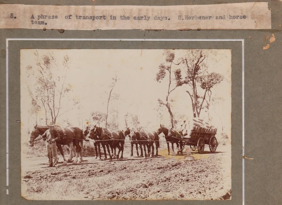 H. Herbener and team. Nanango district, Qld. John-Kate Dohl photo.