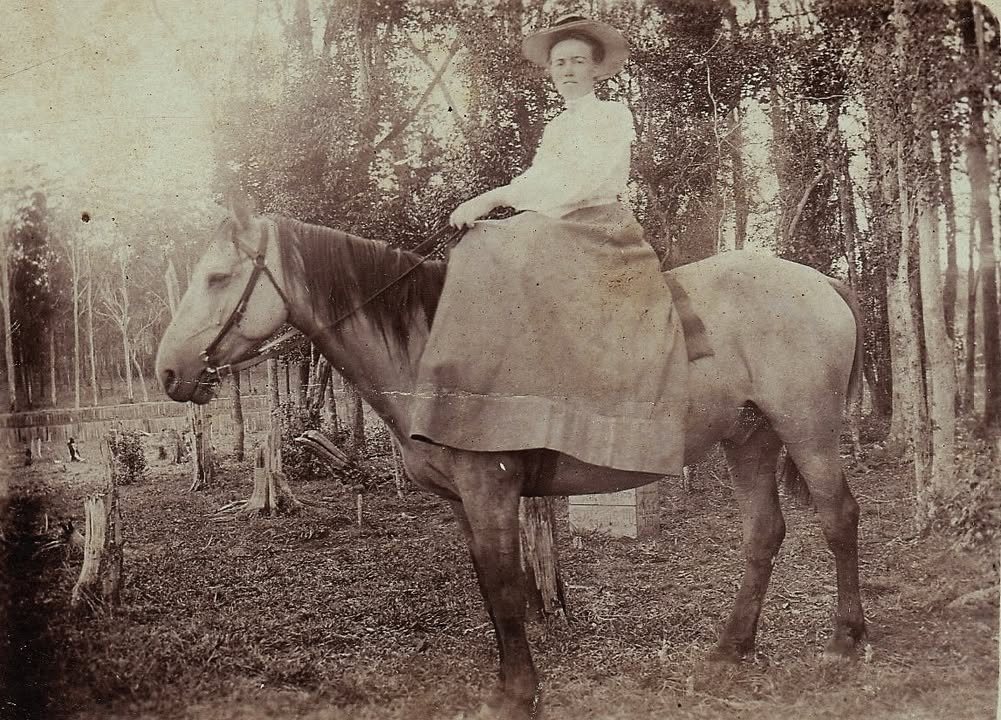 Horse and rider in the Nanango district. John-Kate Dohl photo.