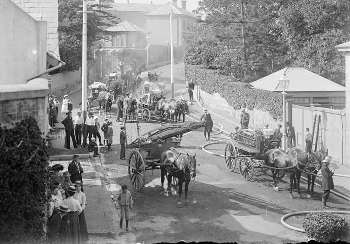 'Horse drawn fire brigade, Wylde Street, Potts Point, Sydney, ca. 1900.'

Photo by E.W. Searle

National Library of Australia