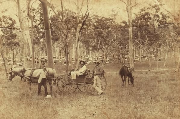 Horse in Nanango area John-Kate Dohle collection