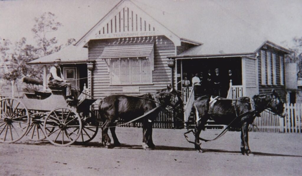 Horses at Nanango. John-Kate Dohle collection