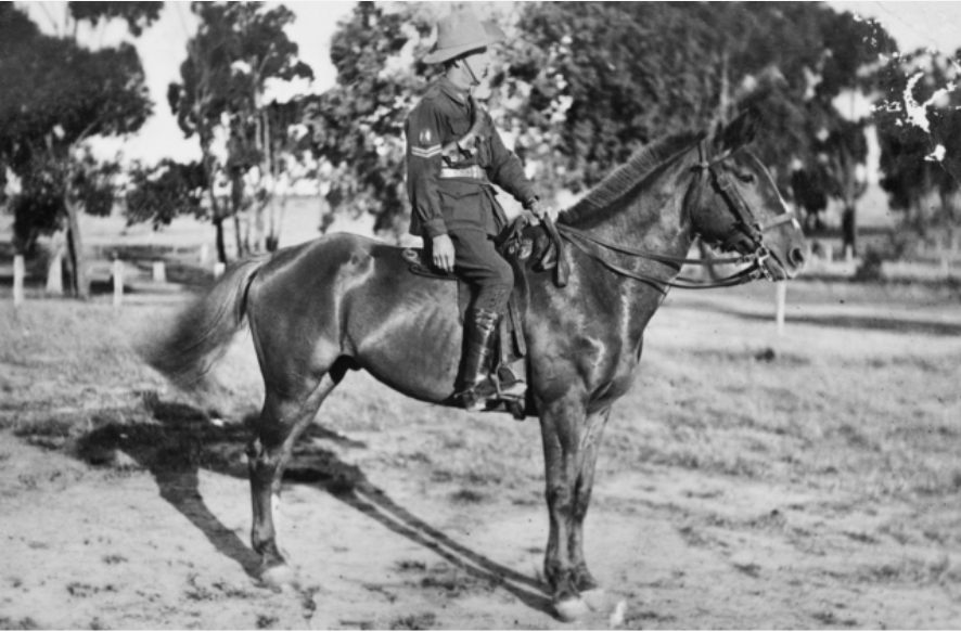 'Portrait of 3226 Private (Pte) James Stanley Hanson, 8th Light Horse Regiment, mounted on a horse at camp, prior to embarkation for service in the Middle East. A clerk of North Melbourne, Vic, prior to enlistment, Pte Hanson embarked with the 26th Reinforcements from Melbourne aboard RMS Morea on 20 February 1917. He transferred to the 1st Signal Squadron, Australian Mounted Division in May 1917 and returned to Australia on 28 January 1919. C. 1917, Seymour, Vic.' AWM