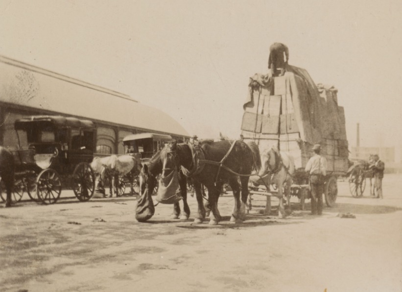 Record load of tea being pulled by horses which were loaded with 75 six foot cases, in front of Smith Channon's at Lipson Street, Port Adelaide. Each case contained about 140 pounds of tea. 1900.' State Library S.A.