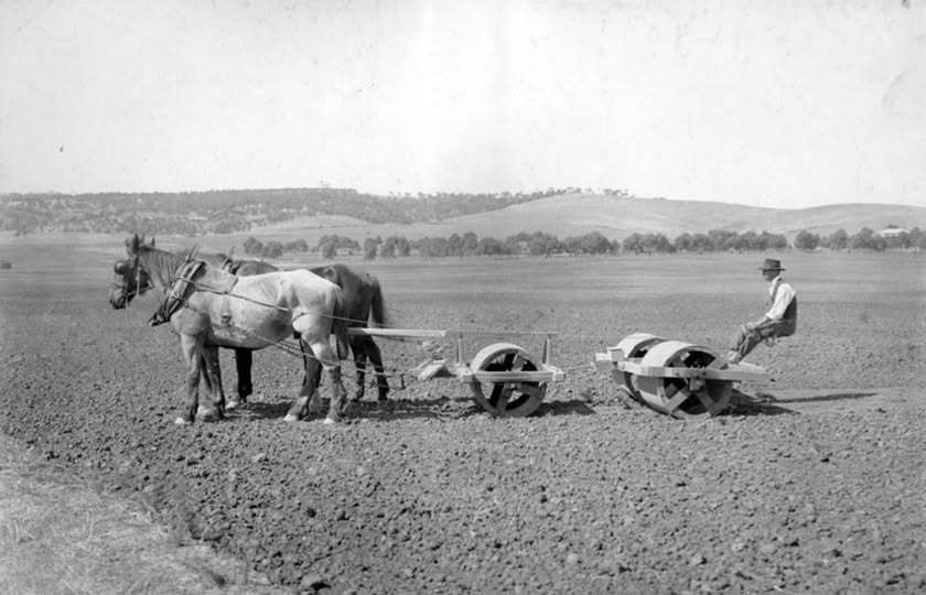 'Richard Albert Ragless working with a horse drawn roller on a farm at St. Mary's; the hills of Pasadena are in the background. 1907.' State Library S.A.
