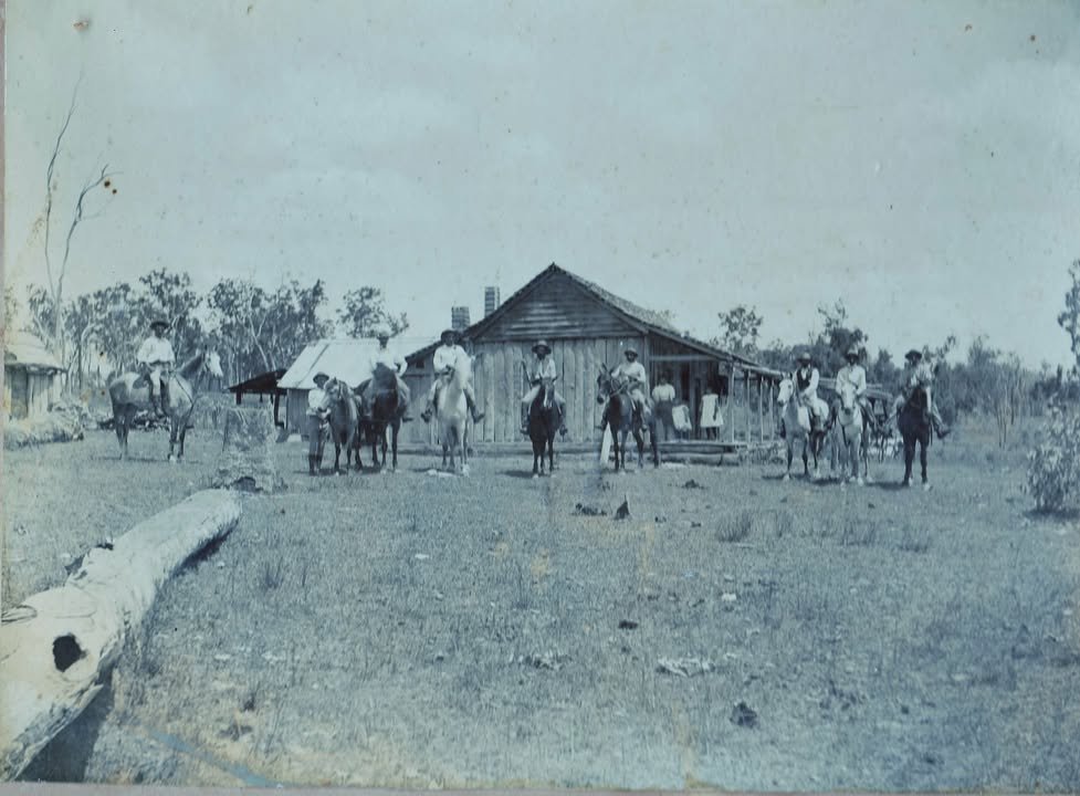 Horses at Nanango