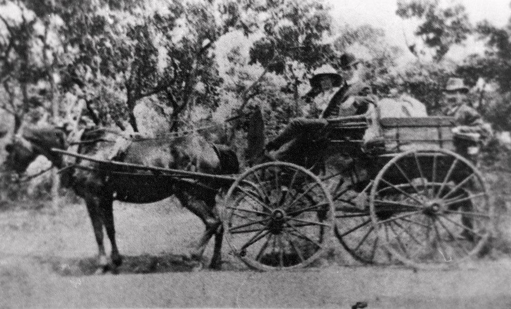 'Sarah Stork with horse bus... 1900-1920.' Sutherland Shire Libraries, NSW