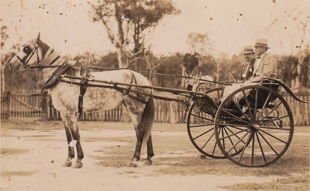 Successful at a show! Nanango district, Qld. John-Kate Dohl photo.