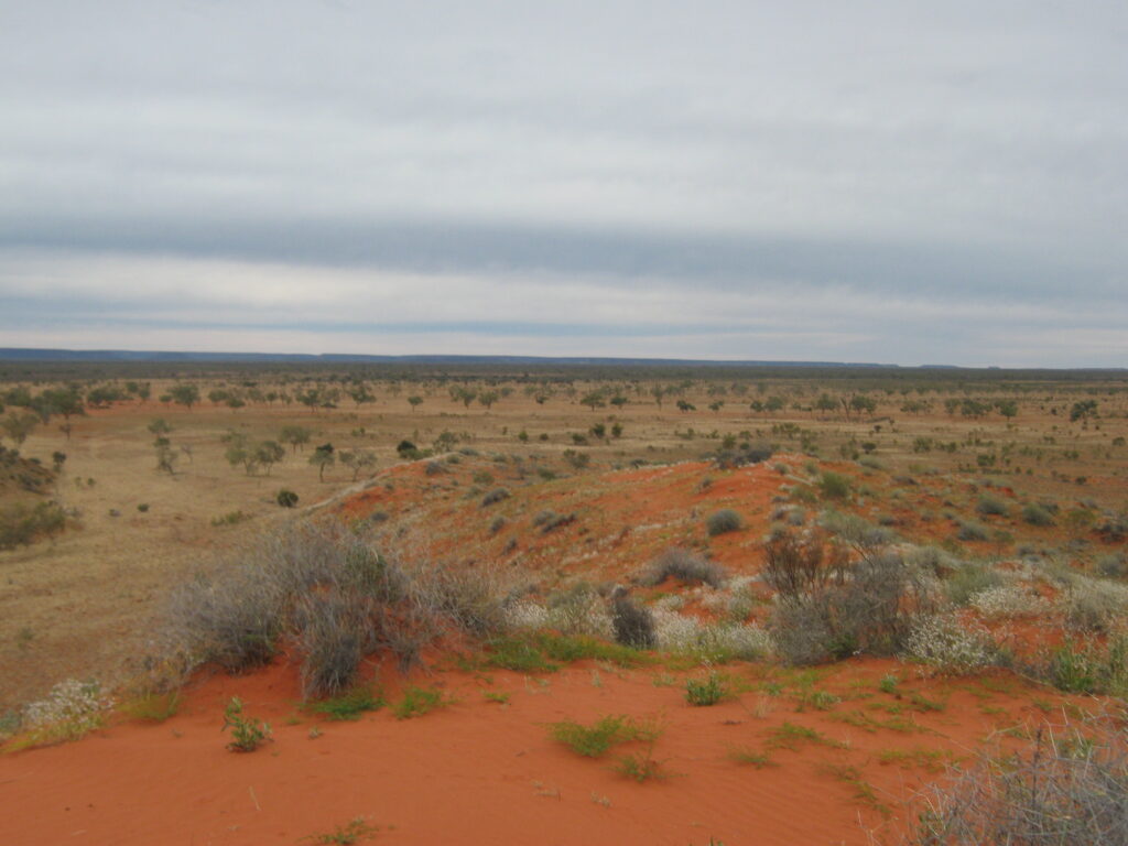Todd RIver Downs Landscape