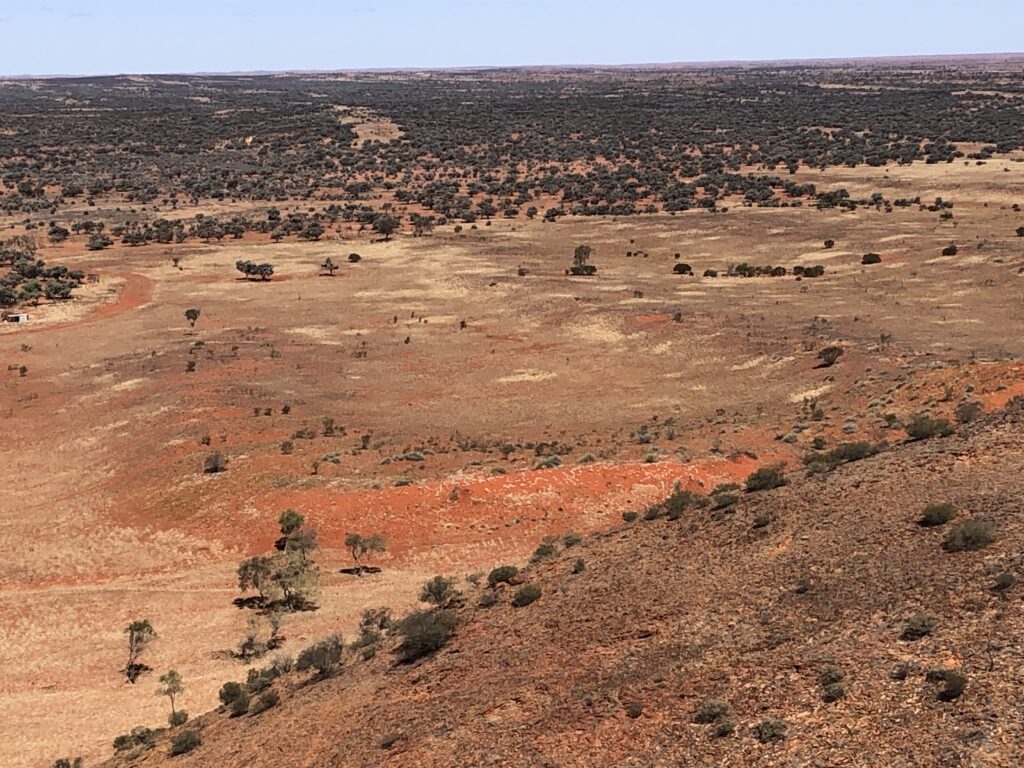 Todd RIver Downs Landscape